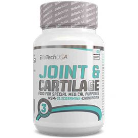 Joint & Cartilage